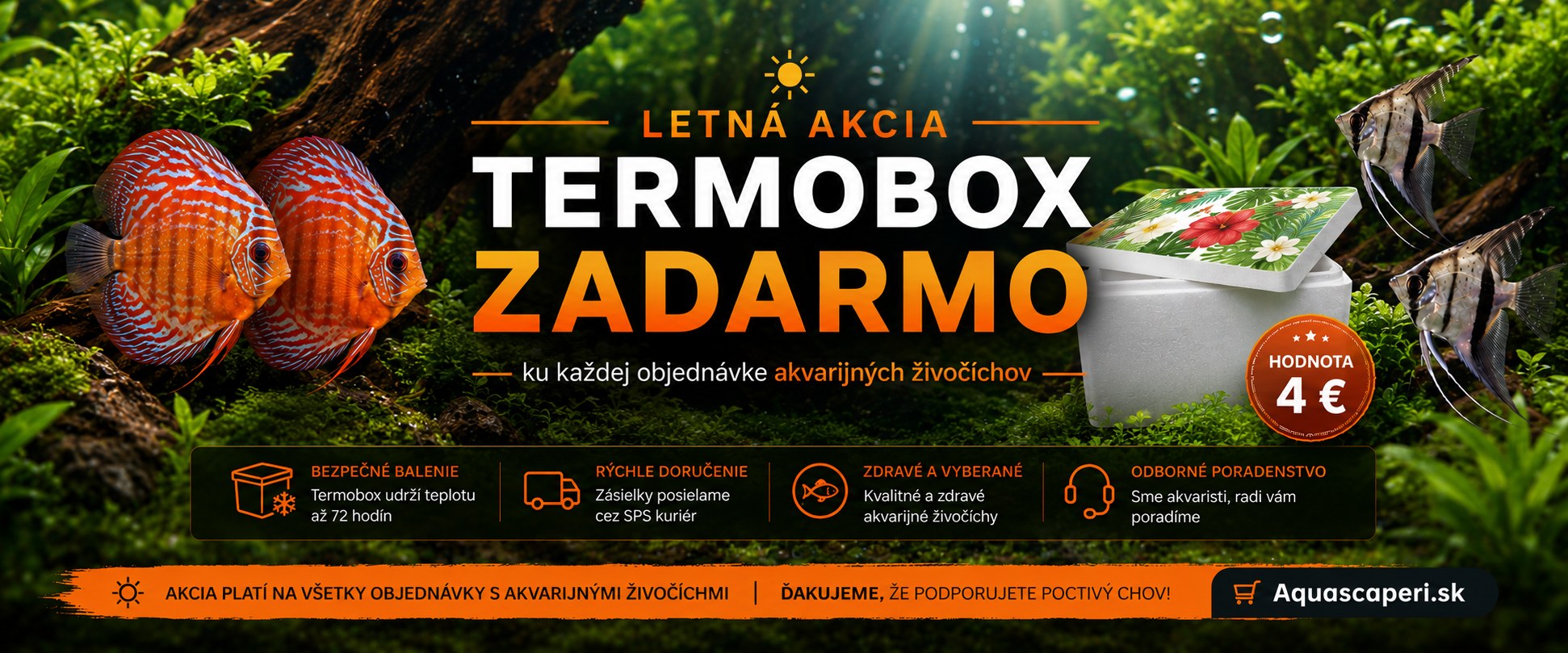 jarná akcia
