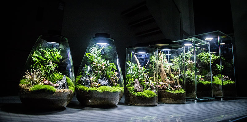 Image-BioBottle2