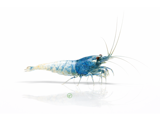 ChatGPT Image 16. 4. 2026, 09 33 01