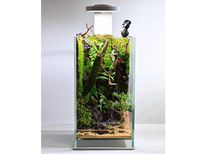 chihiros paludarium2 v