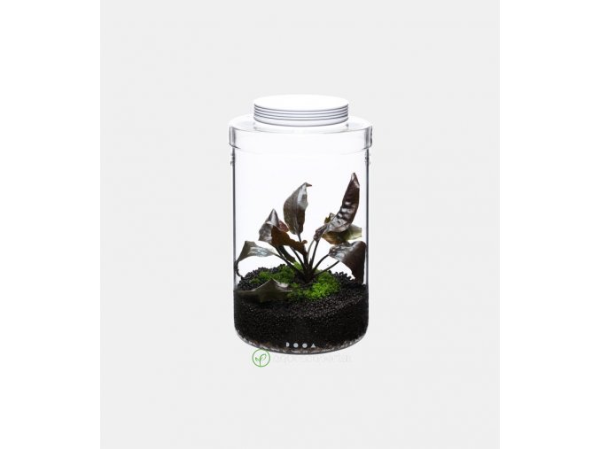 glass pot maru130 03