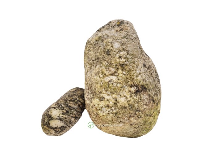 wio boulder elderly wet