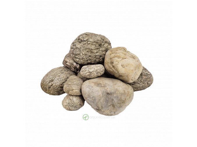 wio nanoboulders elderly dry
