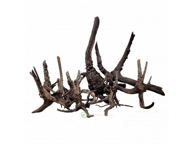 wio hardscape wood blacktreetrunk