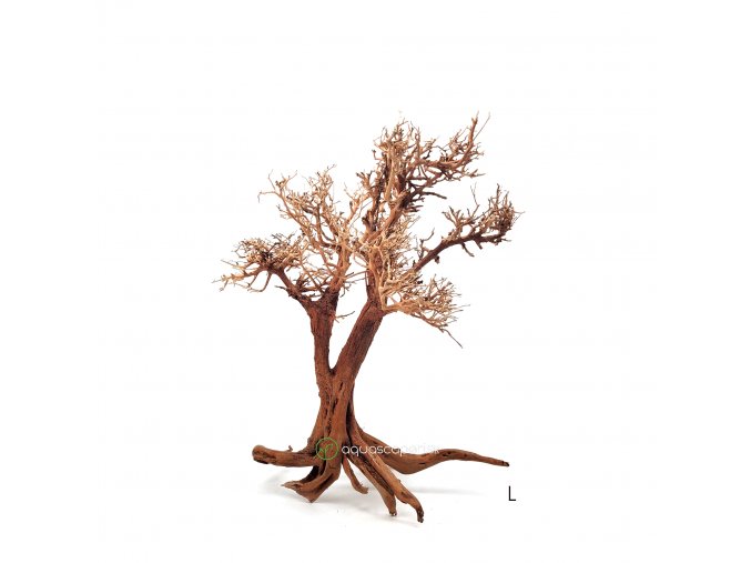 wio arboretum tree L
