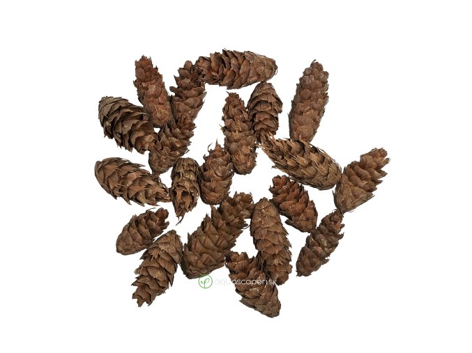 Wio Douglas Fir Pod