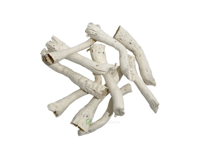 Wio Driftcactus Cholla Wood Bit