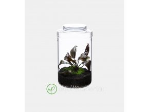 glass pot maru130 03