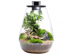 bioloark bio bottle led sd