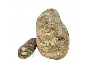 wio boulder elderly wet