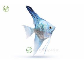 ChatGPT Image 2. 4. 2026, 19 40 01