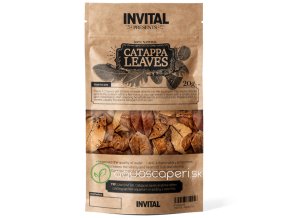 CatappaLeaves 20g listy mandľovníka