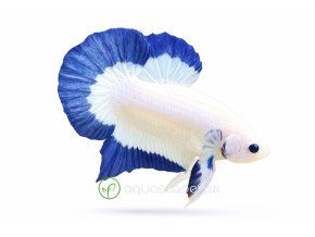 ChatGPT Image 2. 4. 2026, 18 07 34