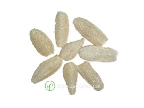 Wio Luffa Sponge Pod