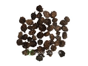Wio Pine Mini Pod