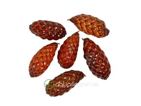 Wio Raphia Pod