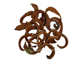 Wio Coco Bites Wood Bit