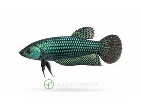 ChatGPT Image 2. 4. 2026, 19 01 45