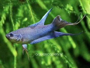 C48510C2 E177 4C73 A287 7AC2723AF60D