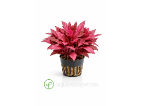 ChatGPT Image 16. 4. 2026, 15 07 05