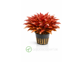 ChatGPT Image 16. 4. 2026, 15 11 11