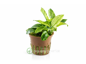 ChatGPT Image 16. 4. 2026, 14 48 52