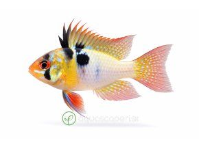 646059f9 5f2a 47fa 988b c87f2edb149c