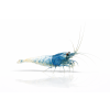 ChatGPT Image 16. 4. 2026, 09 33 01