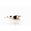 ChatGPT Image 16. 4. 2026, 10 31 36