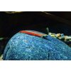Hlaváč Goby -Stiphodon / red neon sumatra goby