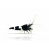 ChatGPT Image 16. 4. 2026, 09 27 41