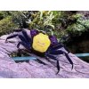 Krab Banana -Geosesarma sp. vampire banana