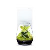 DOOA Magnet Light Stand 20H