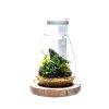 DOOA Magnet Light Arm (for Wood Base SHIKUZU)