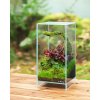 DOOA Neo Glass AIR W20×D20×H30 (cm)