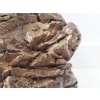 wio stones elderly detail