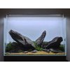Nebula Set Box Stone Wio (10kg)