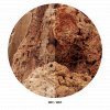 wio stones paleorock drywet