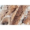 wio stones paleorock detail