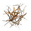 root mix