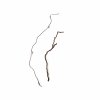 wio mini root 6