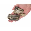 wio nanorocks greyfossilwood hand