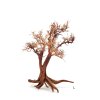 wio arboretum tree L