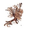 wio arboretum arbustus XL
