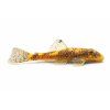 Bristlenose pleco v profile