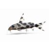 Synodontis sumatrensis v plnom detaili