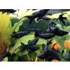 Živorodka ostropyská - Poecilia sphenops / black molly