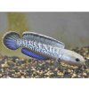 Hadohlavec Stewartii - Chana Stewartii