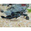 Hlaváč Blue Neon - Stiphodon Atropurpureus