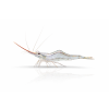ChatGPT Image 16. 4. 2026, 09 24 34